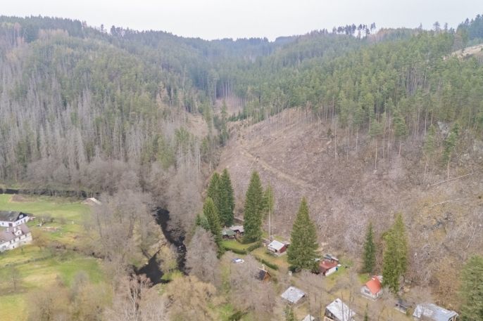 Prodej, Chata, Planá