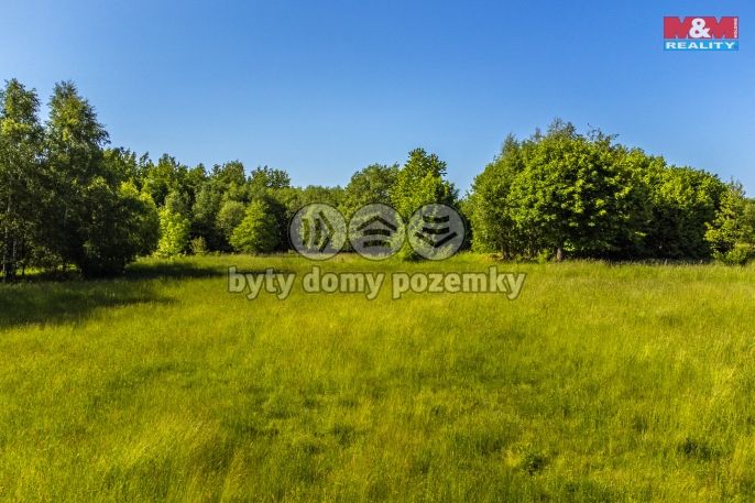 Prodej, Pole, Krásná Lípa