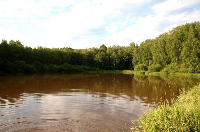 Prodej, Pozemek k bydlení, Horní Libchava