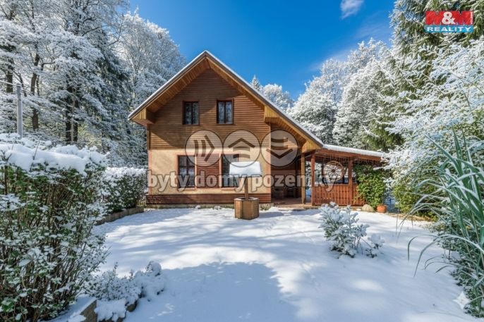 Prodej, Hotel, penzion, Rokytnice nad Jizerou