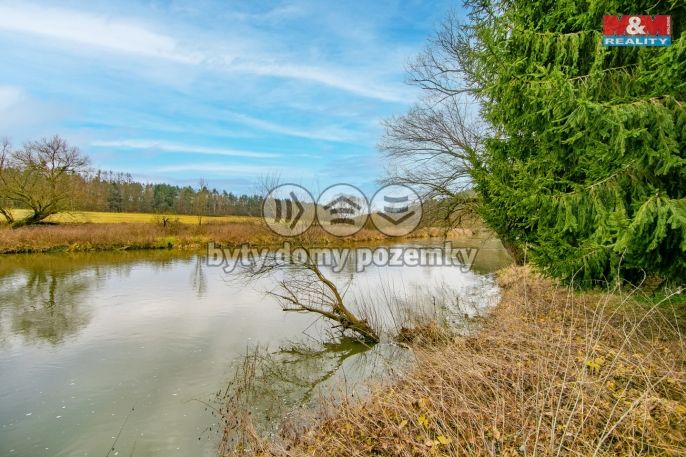 Prodej, Les, Zruč-Senec