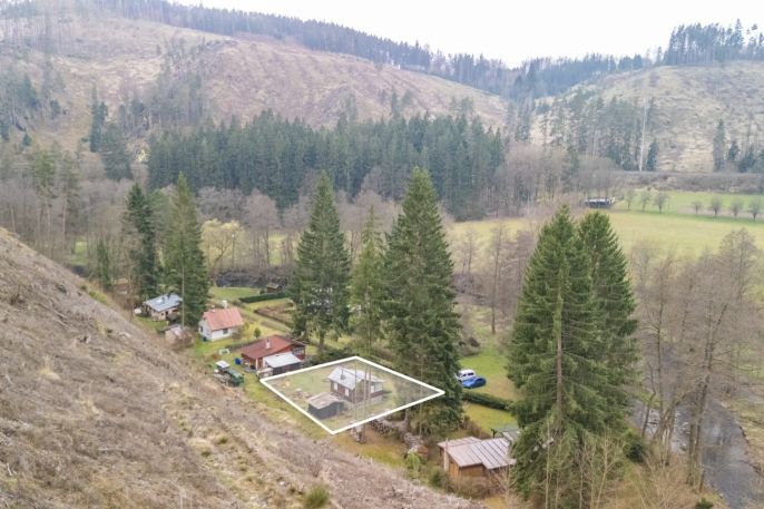 Prodej, Chata, Planá