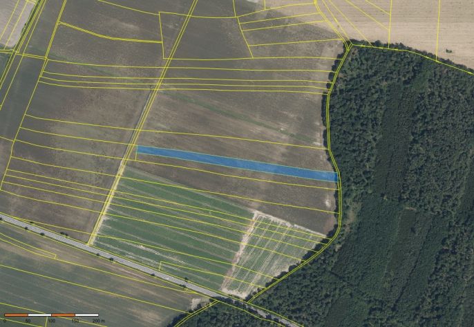 Prodej, Pole, Starý Vestec