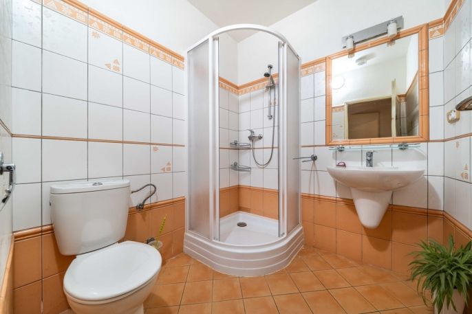 Prodej, Obchodní objekt, Chudenín