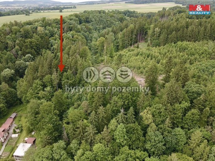 Prodej, Les, Ústí nad Orlicí