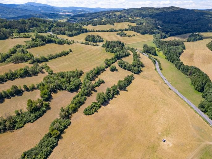 Prodej, Louka, Nišovice