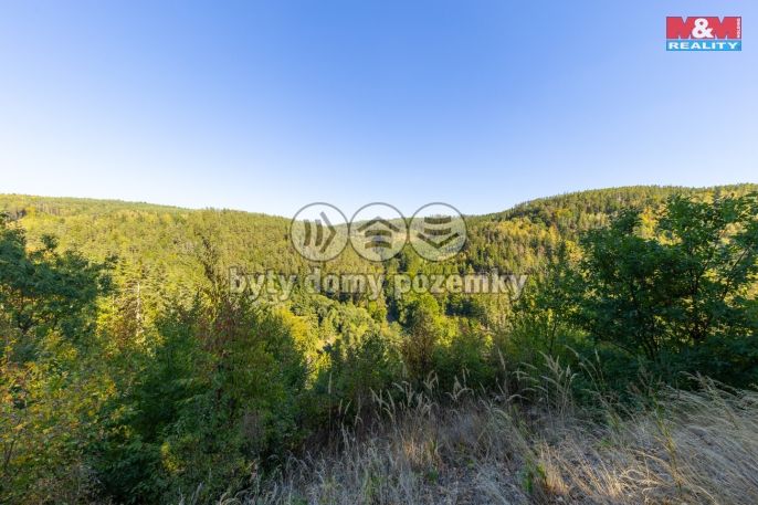 Prodej, Les, Lomnice