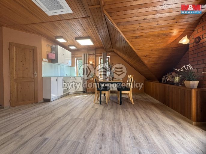 Pronájem, Byt 1+kk, Bříství