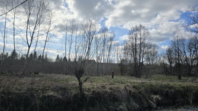 Prodej, Komerční pozemky, Višňová