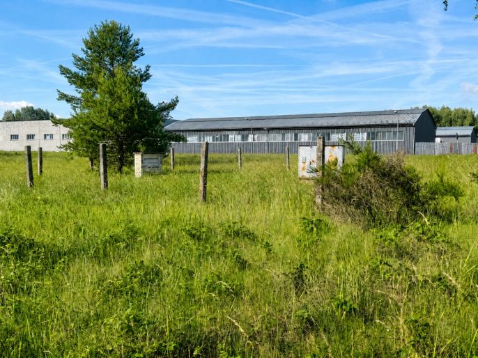 Prodej, Komerční pozemky, Ralsko