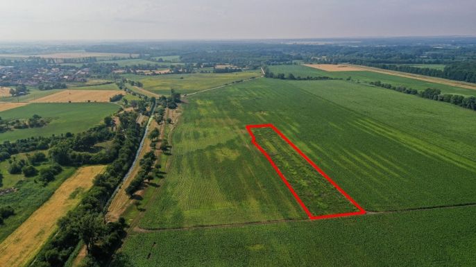 Prodej, Pole, Podivín