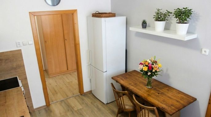 Pronájem, Byt 3+1, Dolní Dobrouč