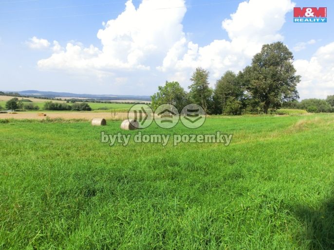 Prodej, Pozemek k bydlení, Radenín