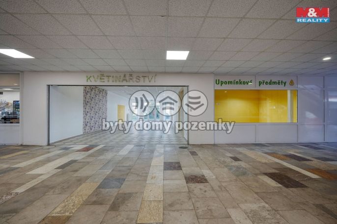 Pronájem, Obchod a služby, Třemošná