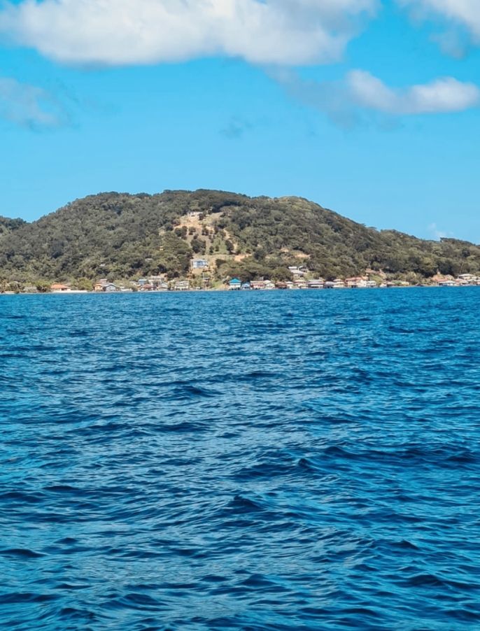 Prodej, Komerční pozemky, Roatan 