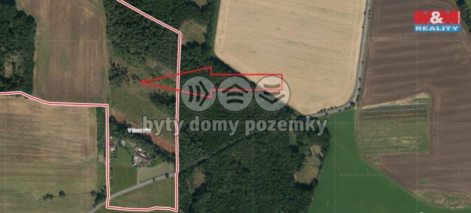 Prodej, Les, Stehlovice