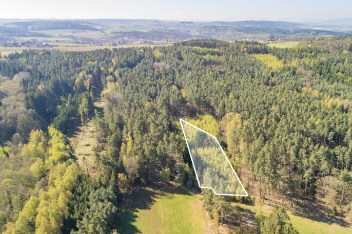 Prodej, Les, Losiná