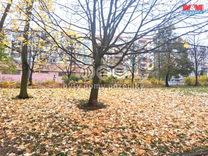 Pronájem, Byt 1+1, Ústí nad Labem