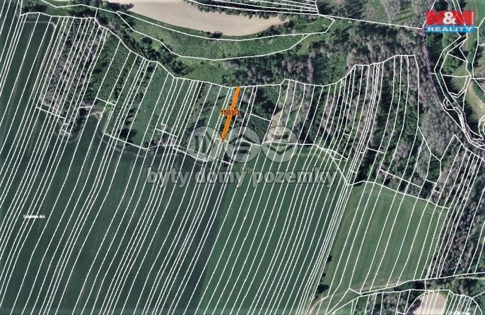 Prodej, Les, Trhový Štěpánov