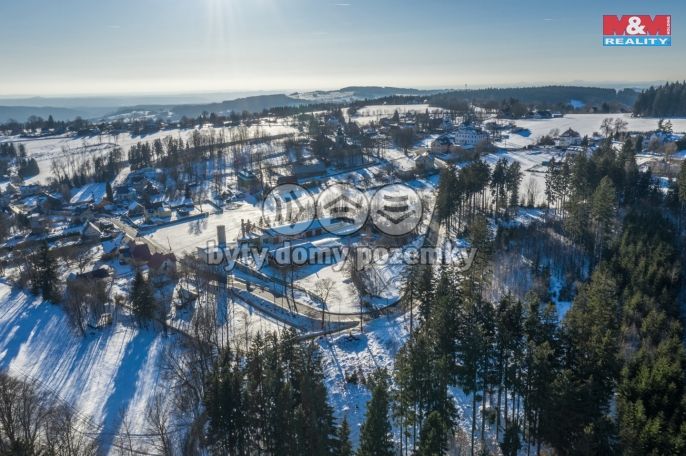 Prodej, Výrobní objekt, Pěnčín