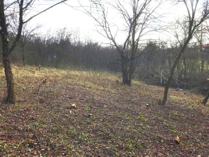 Prodej, Zahrada, Postoloprty