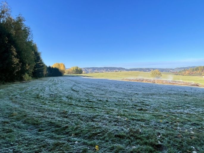 Prodej, Louka, Česká Třebová