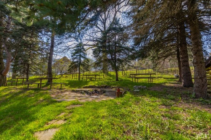 Prodej, Restaurace, stravování, Třinec