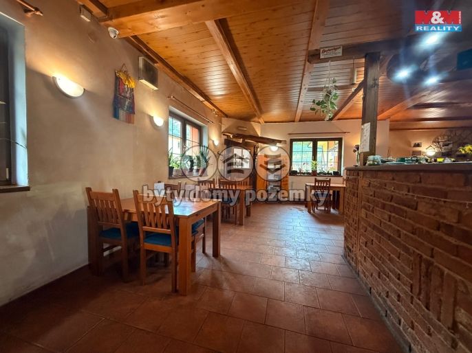 Pronájem, Hotel, penzion, Vilémov