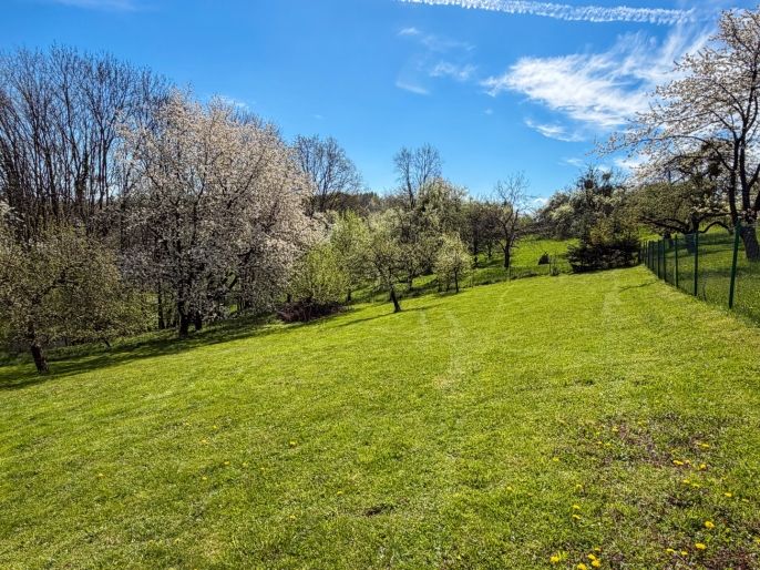 Prodej, Rodinný dům, Těrlicko