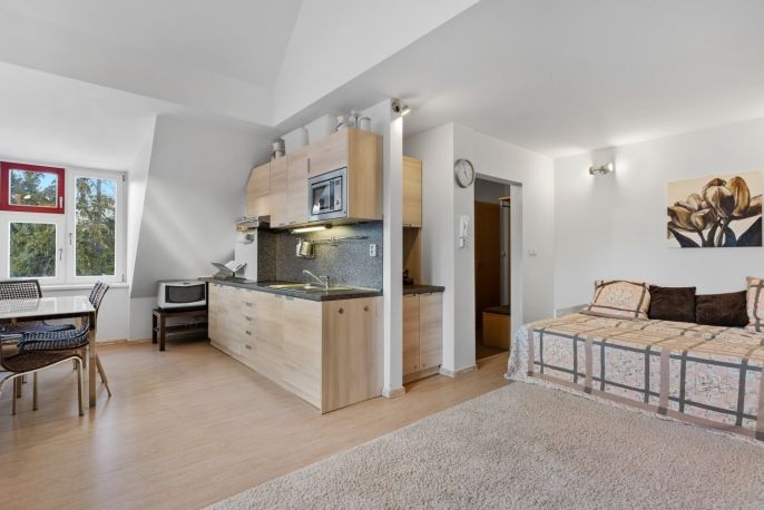 Prodej, Byt 2+kk, Harrachov