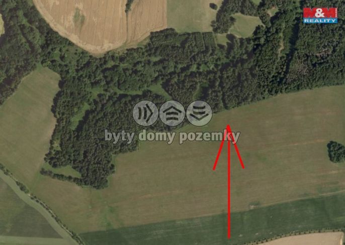 Prodej, Les, Lipová