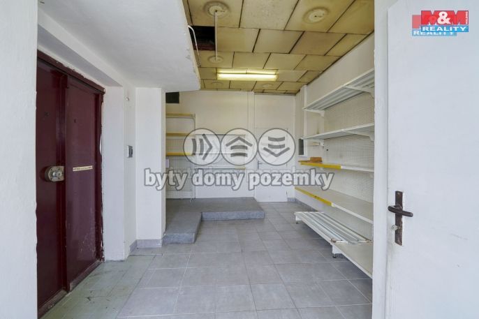 Pronájem, Obchod a služby, Třemošná