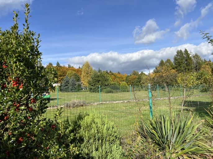 Prodej, Zahrada, Velké Poříčí