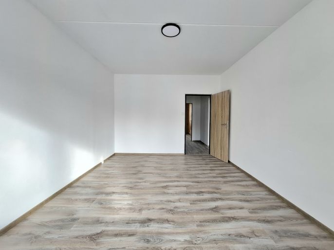 Pronájem, Byt 3+1, Ostrov