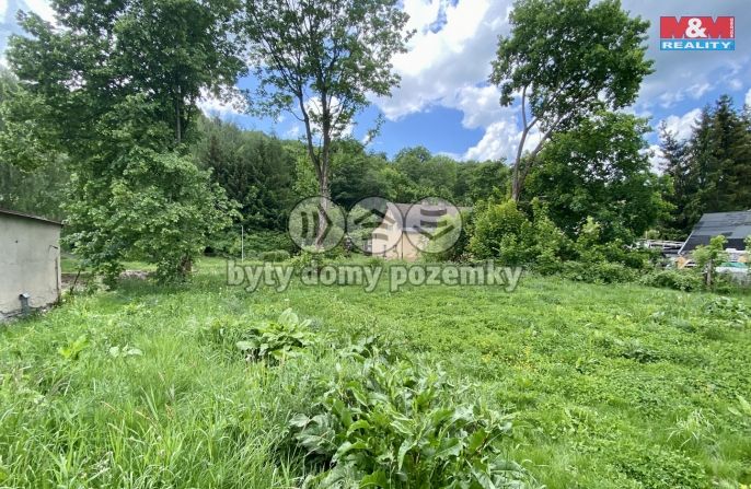 Prodej, Pozemek k bydlení, Mladé Buky