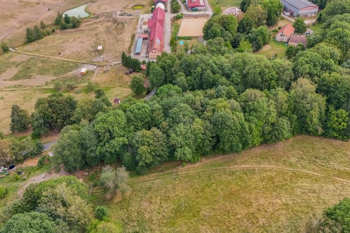 Prodej, Pozemek k bydlení, Březová
