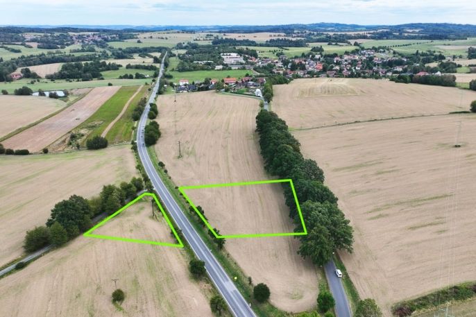 Prodej, Pole, Vyskytná