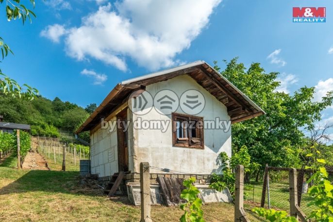 Prodej, Pozemek k bydlení, Viničné Šumice