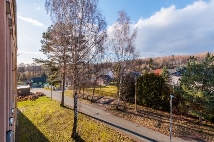 Prodej, Byt 3+1, Habartov