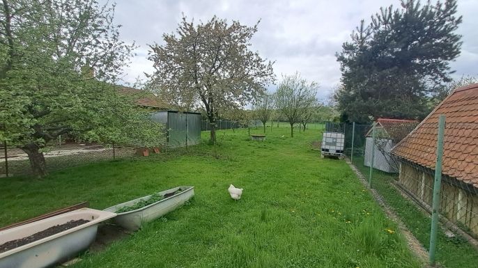 Prodej, Rodinný dům, Velká nad Veličkou