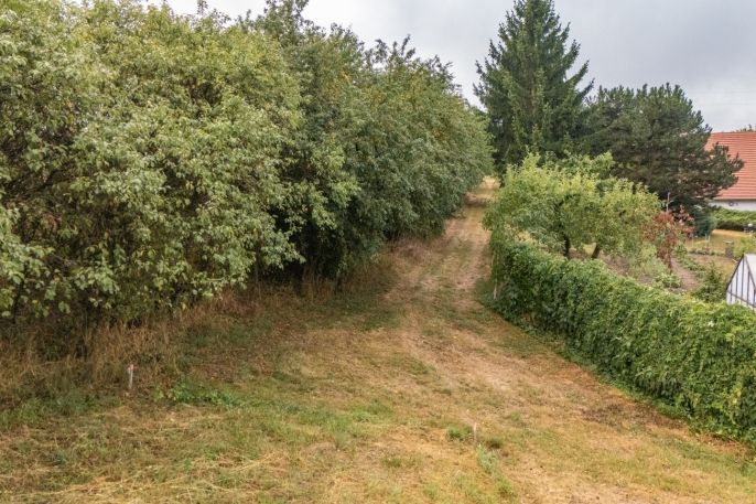 Prodej, Pozemek k bydlení, Petrovice