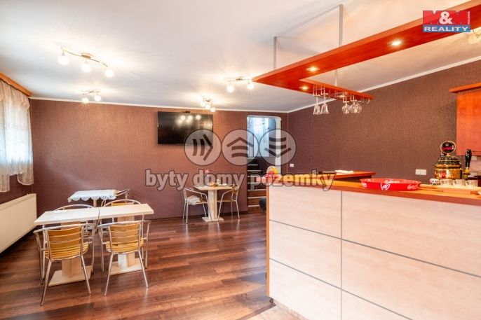 Prodej, Hotel, penzion, České Budějovice