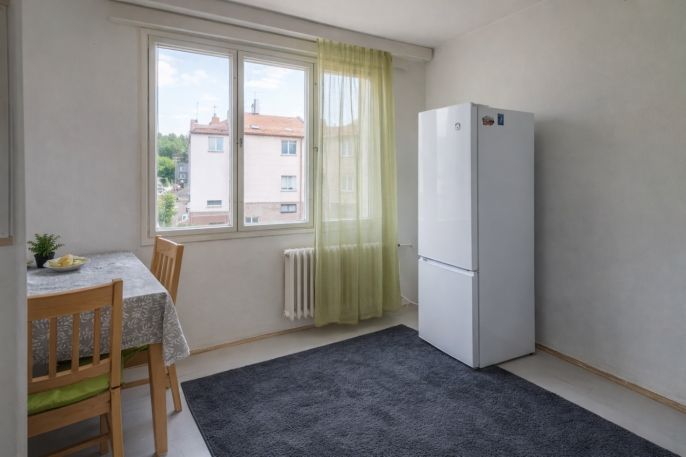 Pronájem, Byt 1+1, Luby
