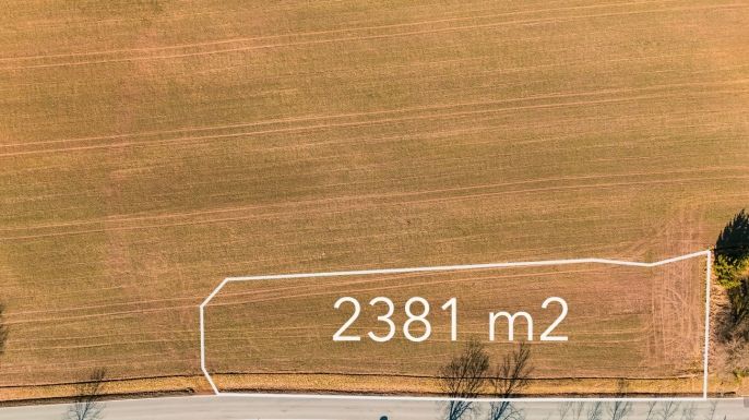 Prodej, Pole, Dubné