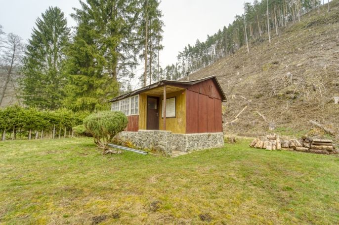 Prodej, Chata, Planá