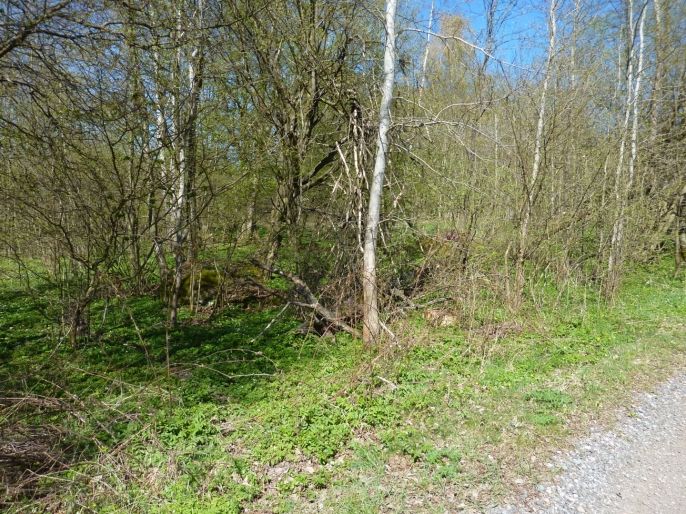 Prodej, Pozemek k bydlení, Brzice