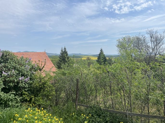 Prodej, Rodinný dům, Chožov