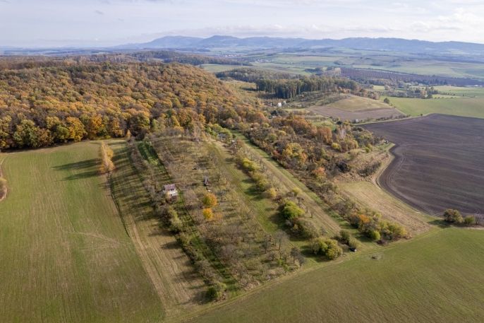 Prodej, Ovocný sad, Kostelec u Holešova