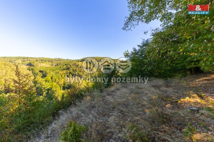 Prodej, Les, Lomnice