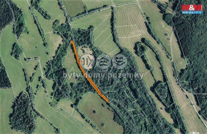 Prodej, Louka, Trutnov